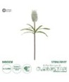 GloboStar® Artificial Garden WHITE STIPA FRUIT BRANCH 21374 Τεχνητό Διακοσμητικό Κλαδί Στίπα Y69cm